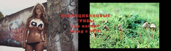 ALPHA PVP Надым