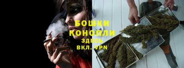 индика Наволоки
