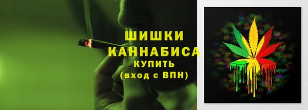 spice Дмитровск