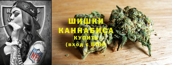 индика Наволоки