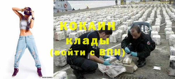 бошки Дмитров