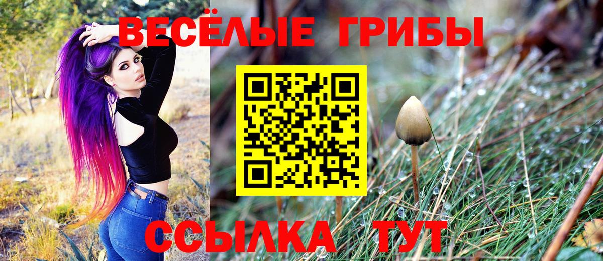 Нерюнгри  Псилоцибиновые грибы MAGIC MUSHROOMS  Вход с VPN 