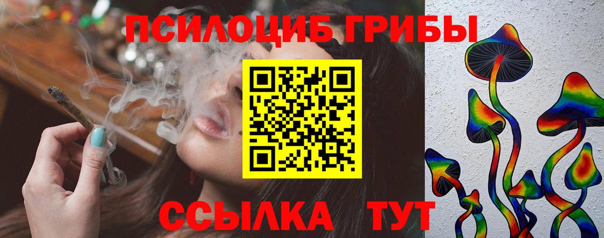 Псилоцибиновые грибы Cubensis  Нерюнгри  Галлюциногенные грибы мухоморы 